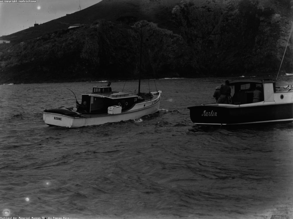 ហ្គេមនេសាទល្បី៖ ការសម្គាល់និងការវិភាគ