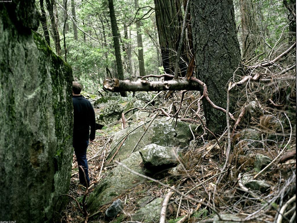 បច្ចេកវិទ្យានេសាទ: ការបំលែងនៃវិស័យនេសាទ