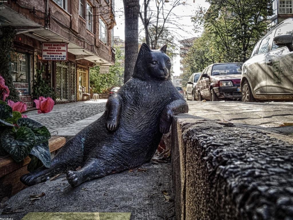 យុទ្ធសាស្ត្រនេសាទ: ការប្រមូលផលល្អបំផុត